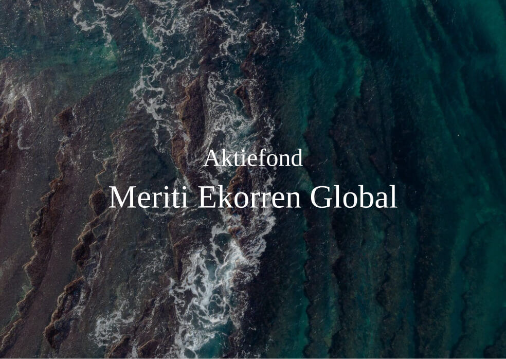 Meriti Ekorren Global