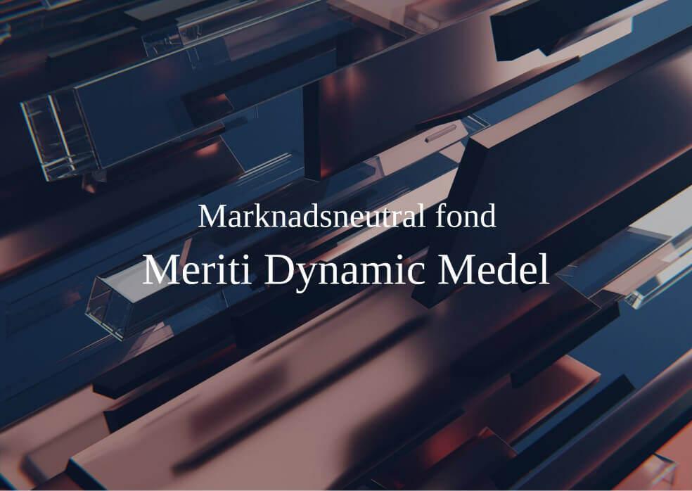 Meriti Dynamic