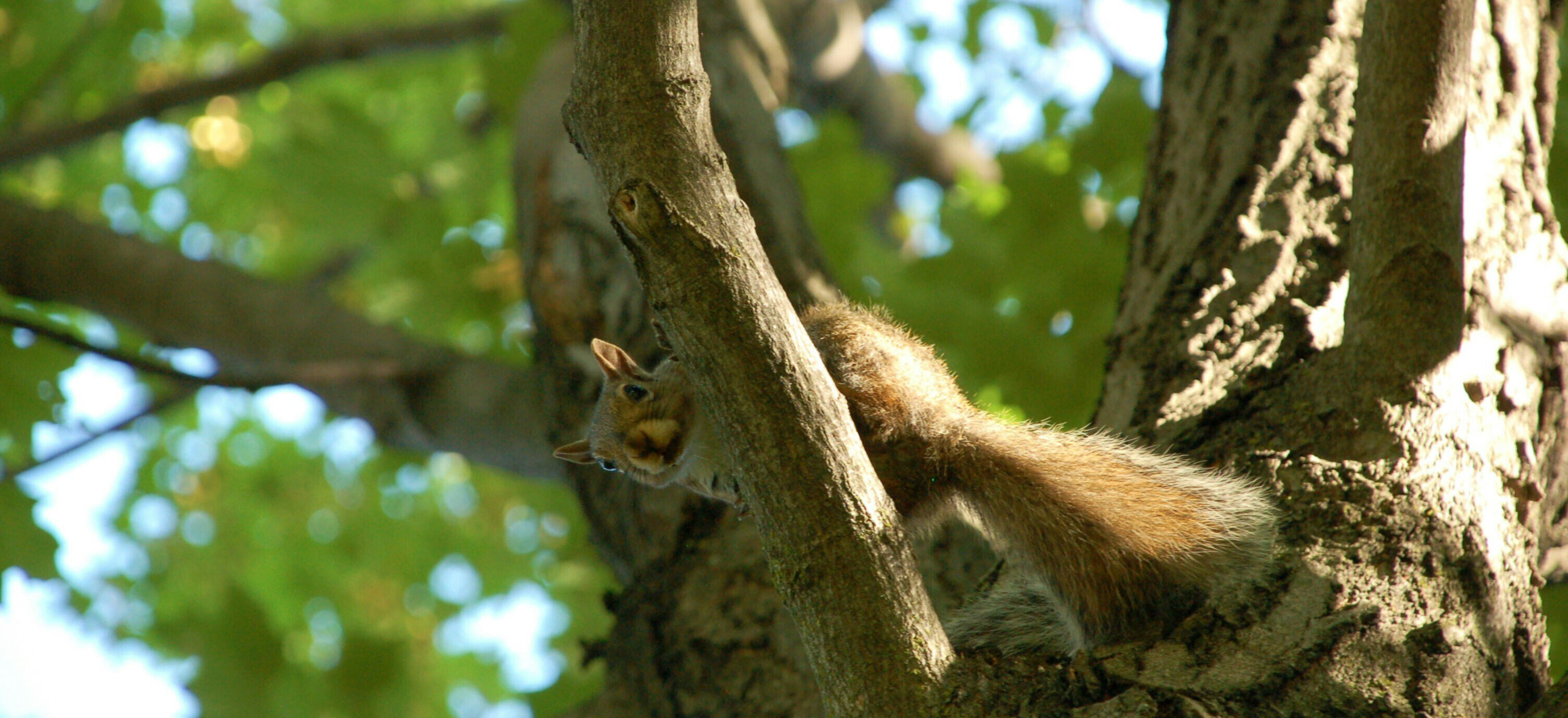 Meriti Capital Årskrönika 2025