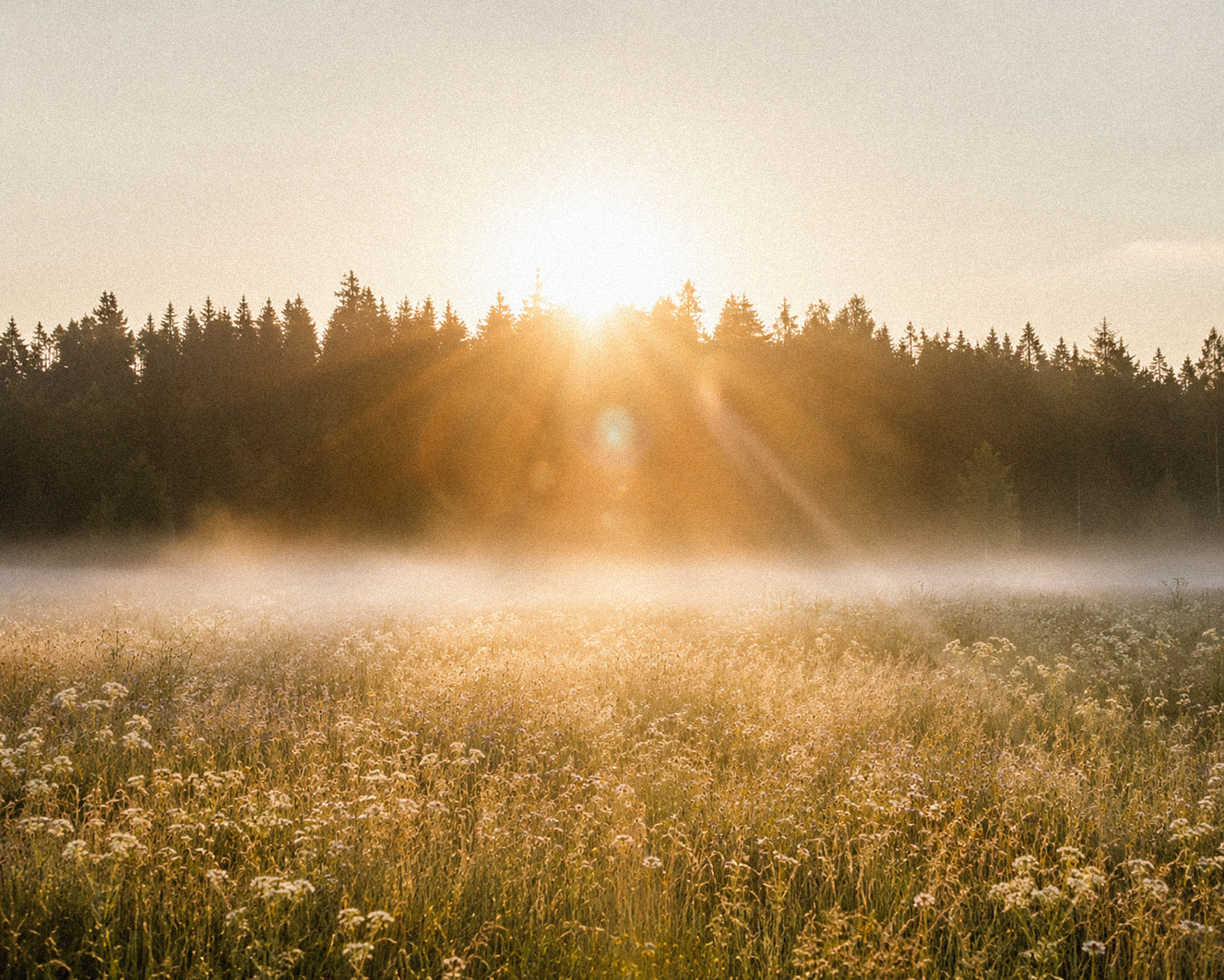 Natur_01