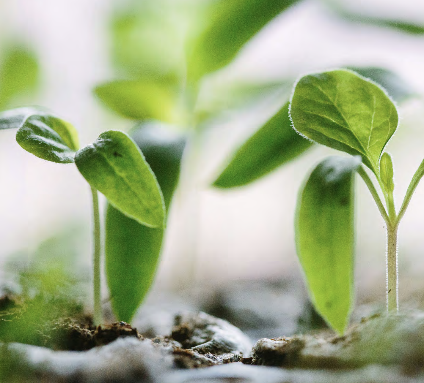 Skärmavbild 2026-02-04 kl. 11.48.56