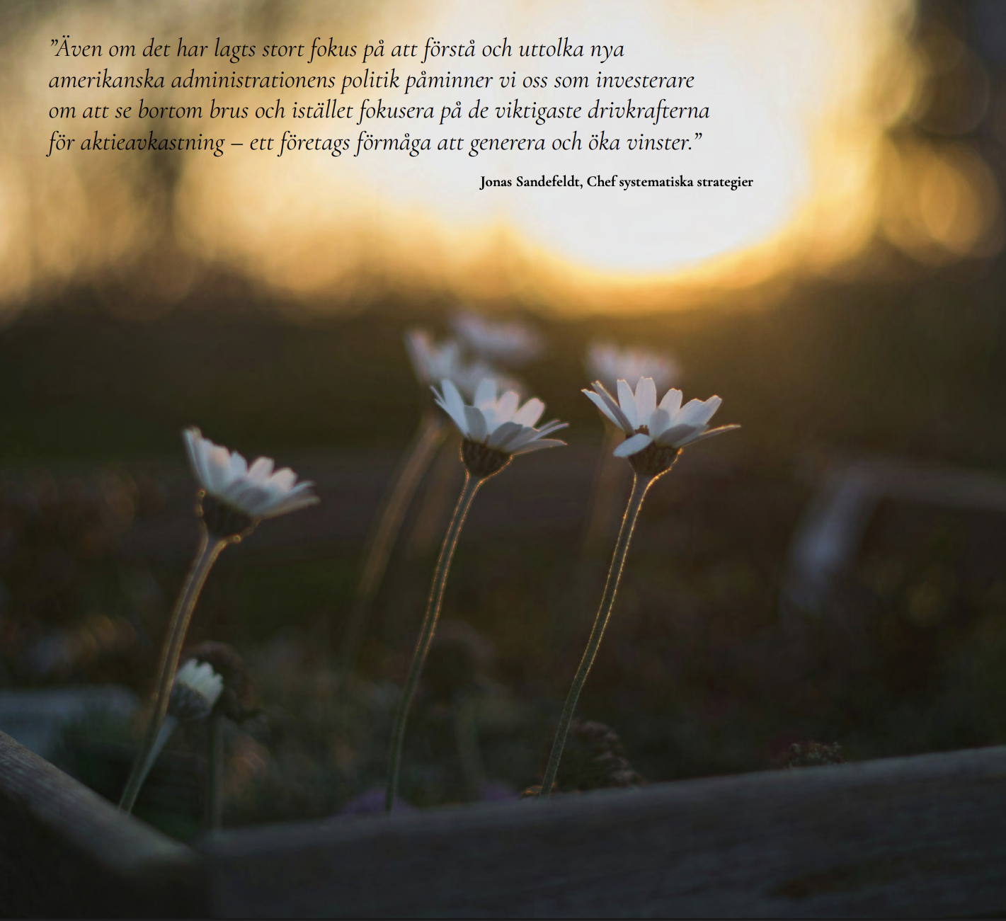 Skärmavbild 2026-02-04 kl. 11.58.02