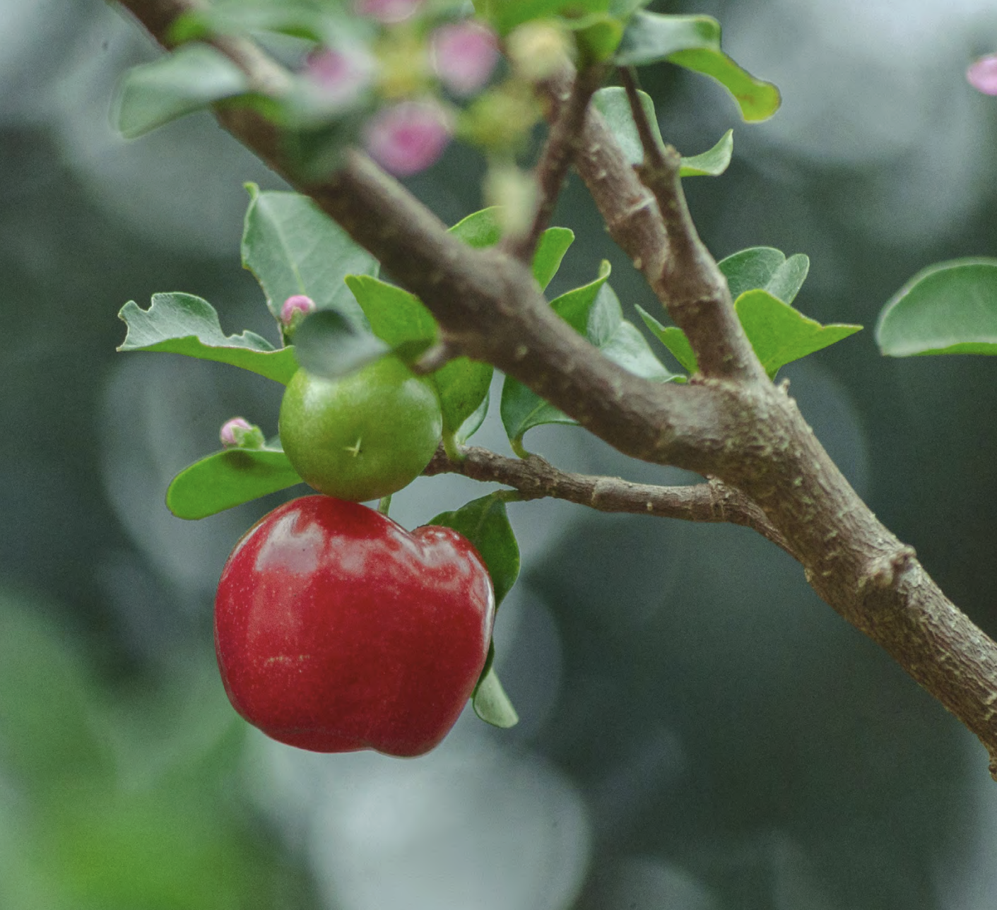 Skärmavbild 2026-02-04 kl. 14.08.51