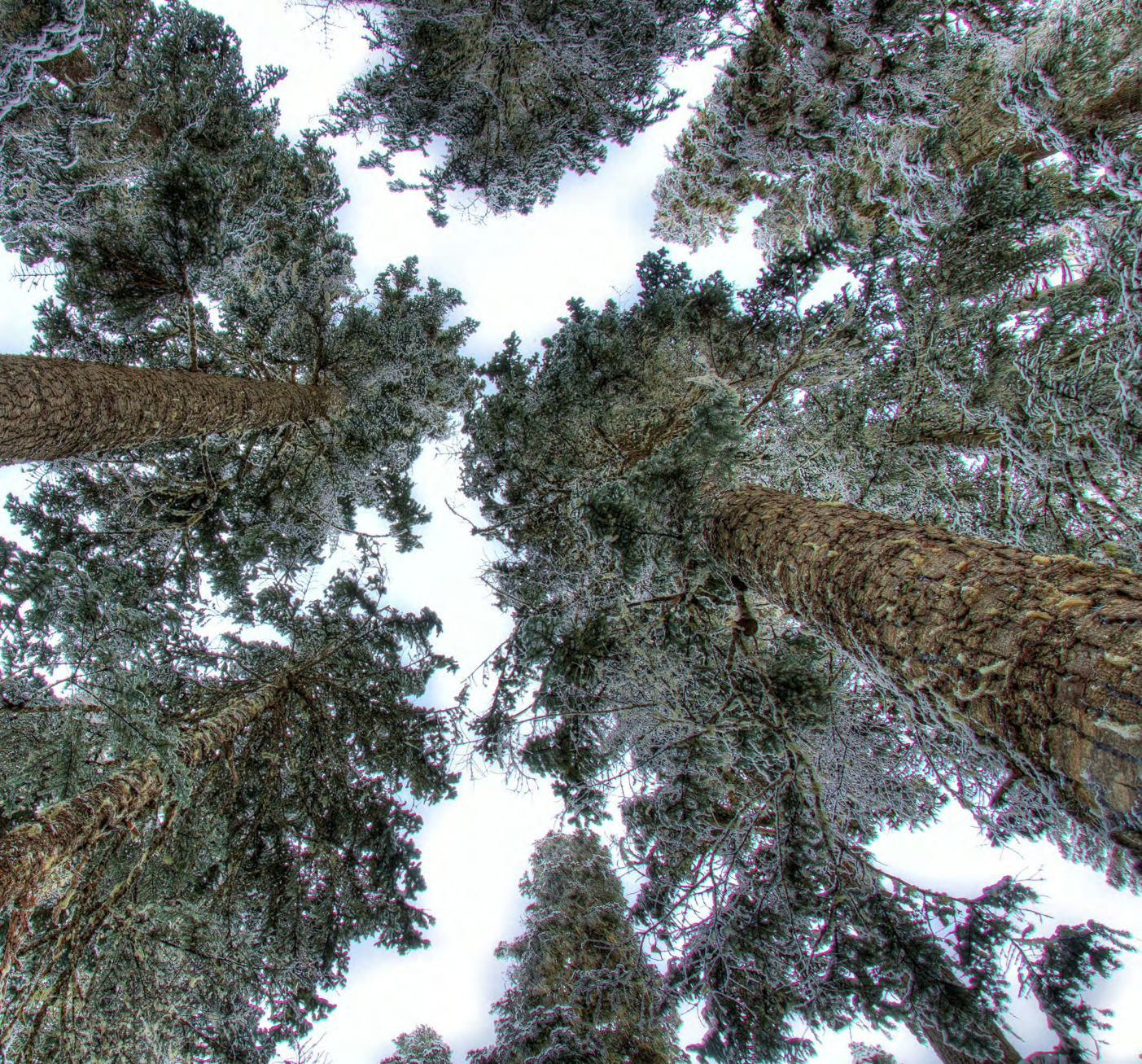 Skärmavbild 2026-02-04 kl. 14.14.48