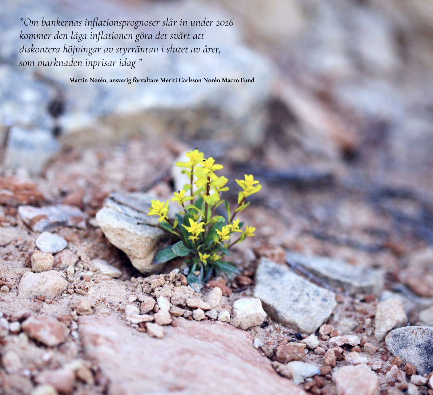 Skärmavbild 2026-02-04 kl. 14.29.34