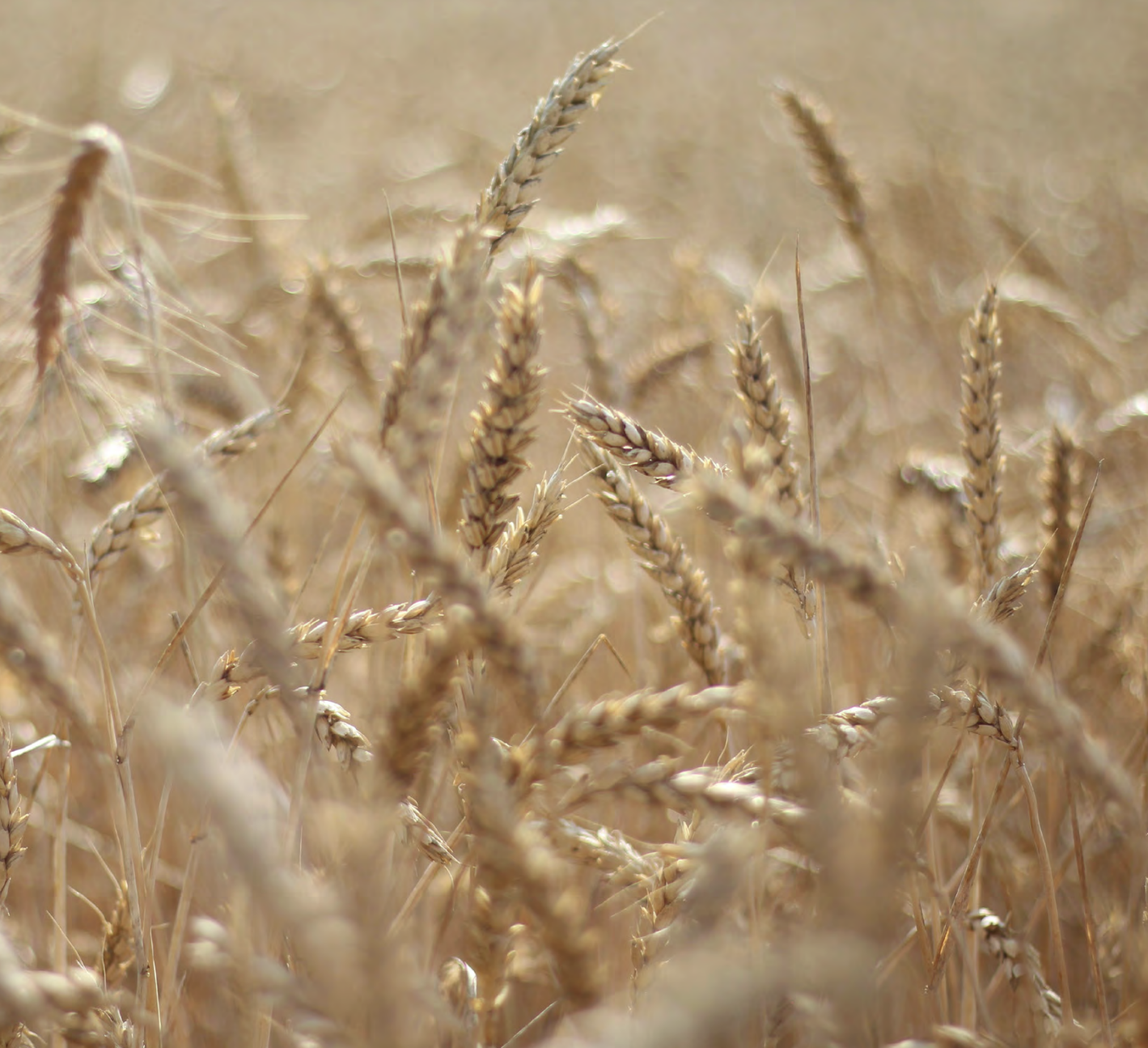 Skärmavbild 2026-02-04 kl. 14.35.28