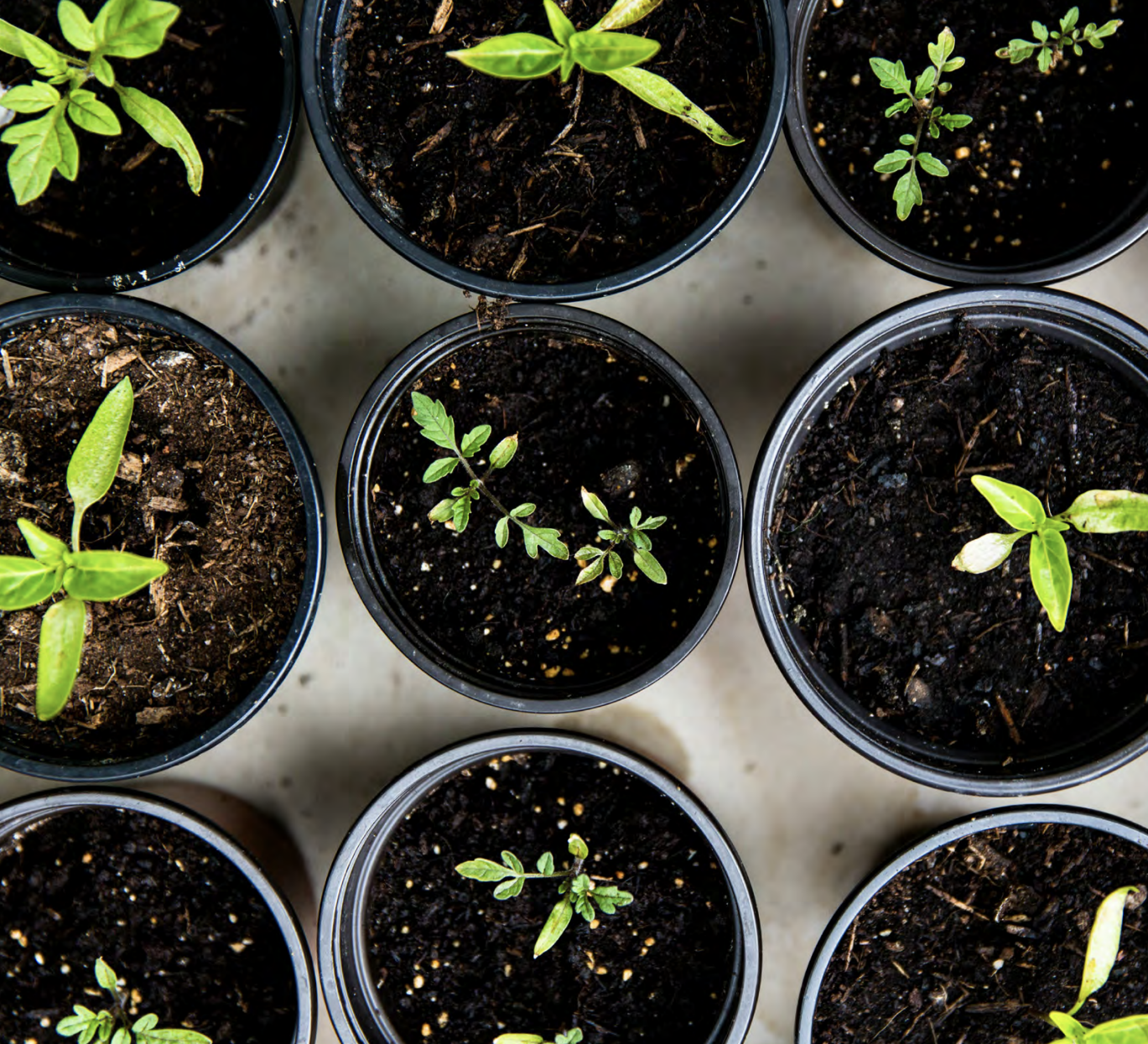 Skärmavbild 2026-02-04 kl. 15.10.25