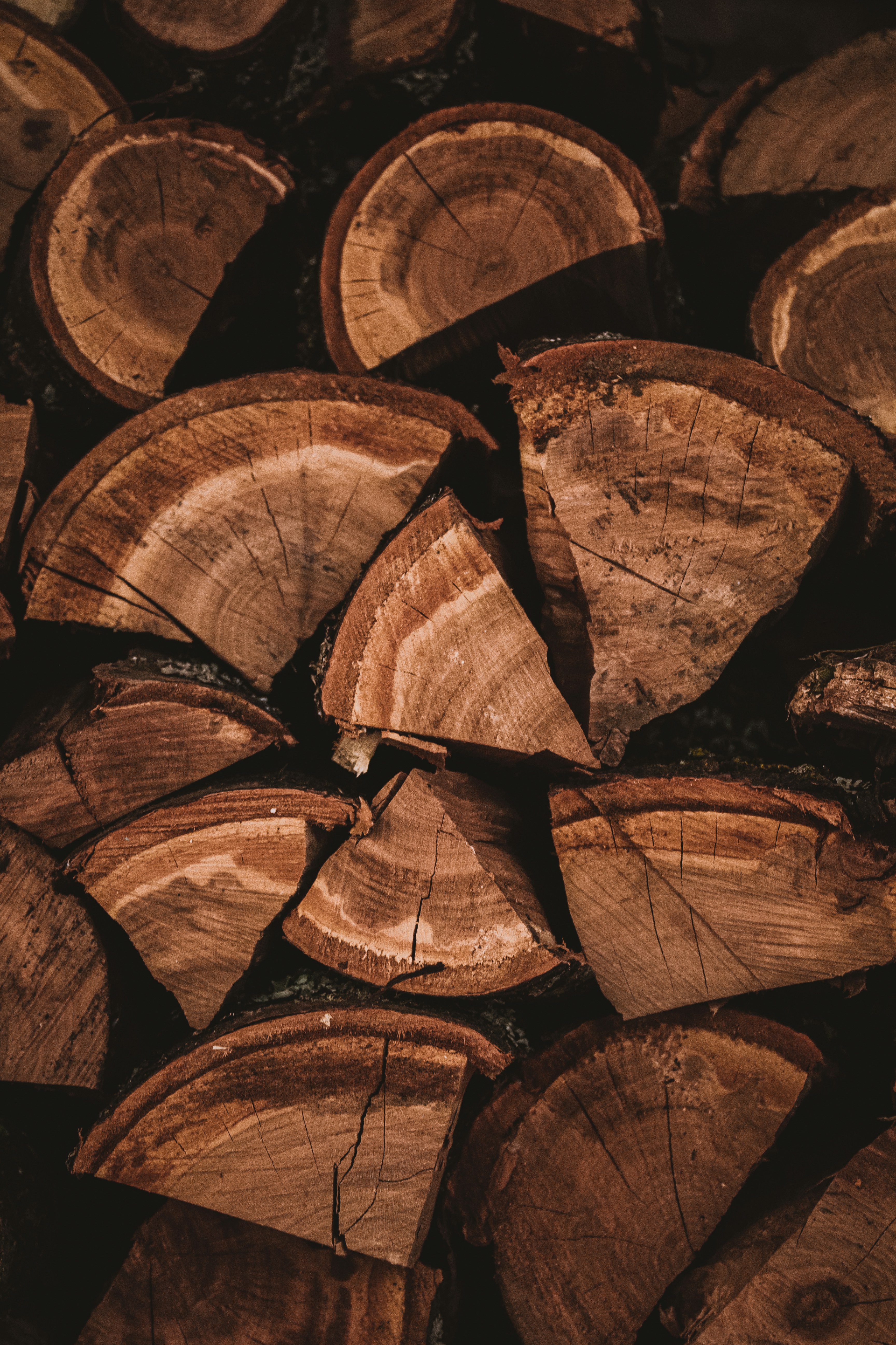 tijana-drndarski-j2ImpvUCstE-unsplash